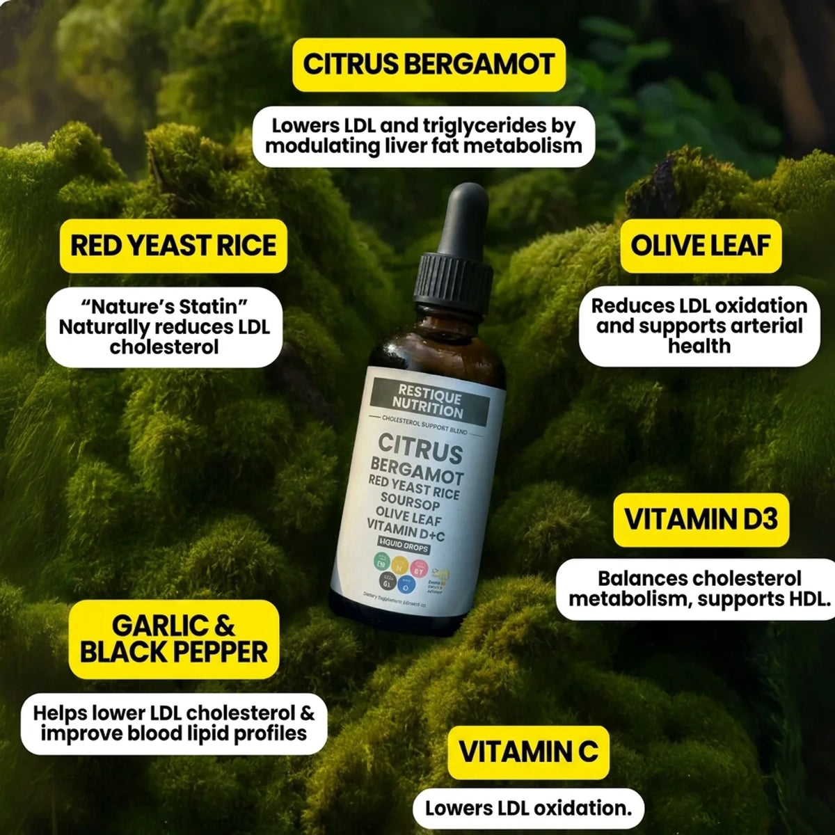 Red Yeast Rice Cholesterol cleanse